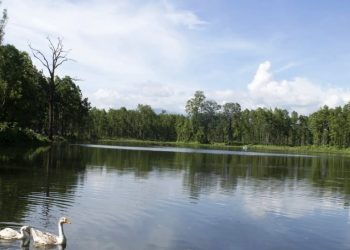 पर्यटकको रोजाइमा वेतना सिमसार