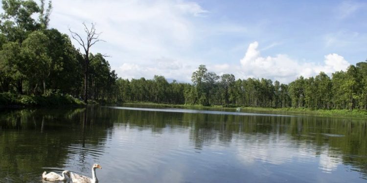 पर्यटकको रोजाइमा वेतना सिमसार