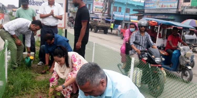 विराटनगरका सडकलाई सुन्दर बनाउने अभियान