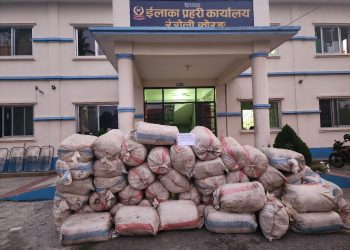 सुनसरी र मोरङबाट गाँजासहित तीन पक्राउ