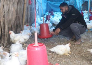 भोजपुर : उद्यमी दीपक, वार्षिक १५ लाख आम्दानी