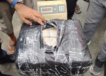 विराटनगरमा एक सय ४५ केजी गाँजा बरामद