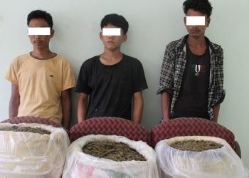 उदयपुरमा ४९ केजी गाँजासहित तीन पक्राउ