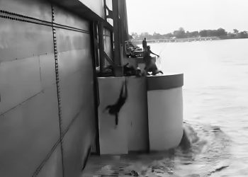 दाउरा सङ्कलन गर्ने क्रममा सप्तकोसी नदीमा खसेर एक बालक बेपत्ता