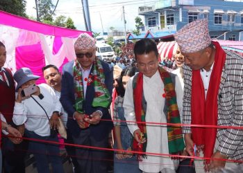 भेडेटारमा स्काई वाक सञ्चालनमा