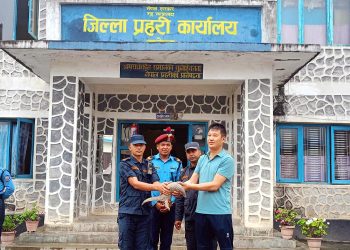 ताप्लेजुङमा सालकको उद्धार