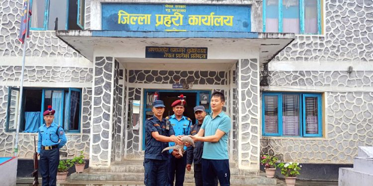 ताप्लेजुङमा सालकको उद्धार