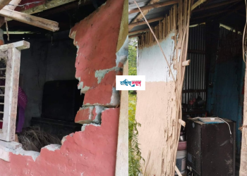 इटहरीमा जंगली हात्तीले दुईवटा घर भत्कायो