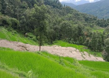 खोटाङमा पहिरोले धानबालीसहितको खेत बगाएपछि कृषक चिन्तित