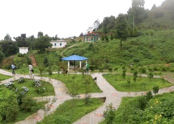 भोजपुरको आमचोकमा दाक्बुराङ वनस्पति उद्यान निर्माण