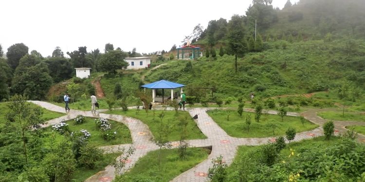 भोजपुरको आमचोकमा दाक्बुराङ वनस्पति उद्यान निर्माण
