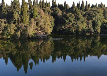 इलाम घुम्ने पर्यटकको सङ्ख्यामा वृद्धि