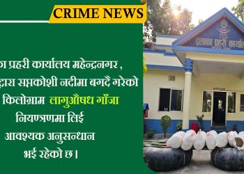 ट्युवमा हालेर दुई सय ४८ केजी गाँजा ओसारपसार, सप्तकोसी नदीबाट प्रहरीले नियन्त्रणमा लियो