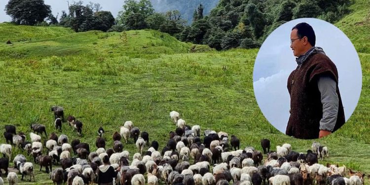 खोटाङ : पढाइ स्नातकोत्तर, काम भेडा चराउने !