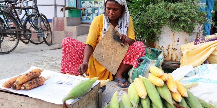 इटहरीमा मकै बेचेर जीवन निर्वाह