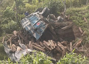 ट्रक ब्रेक फेल भई दुर्घटना हुँदा एकको मृत्यु