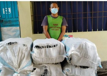 धरानमा तीन सय सात किलोग्राम गाँजासहित कृषि फर्मका सञ्चालक पक्राउ