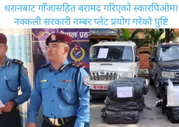 धरानबाट गाँजासहित बरामद गरिएको स्कारपिओमा नक्कली सरकारी नम्बर प्लेट प्रयोग गरेको पुष्टि