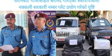 धरानबाट गाँजासहित बरामद गरिएको स्कारपिओमा नक्कली सरकारी नम्बर प्लेट प्रयोग गरेको पुष्टि