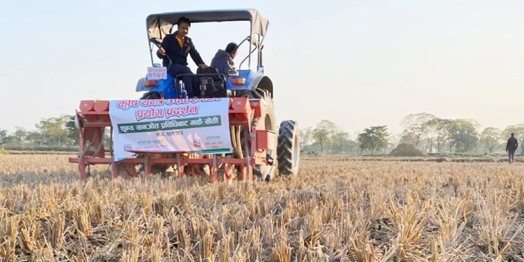 प्रविधिको उपयोग : शून्य खनजोत प्रविधिबाट मकै खेती