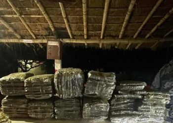 सुनसरीको बराहक्षेत्रमा ९७ केजी गाँजा बरामद