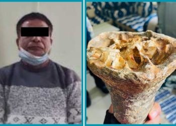 झापामा गैंडाको खागसहित एक पुरुष पक्राउ