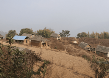 बाँदर र पानीको समस्याले बस्ती नै खण्डहरमा परिणत