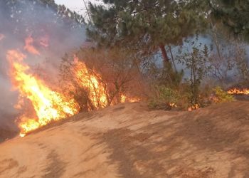 पाँचथरमा डढेलोमा परेर दुईको मृत्यु
