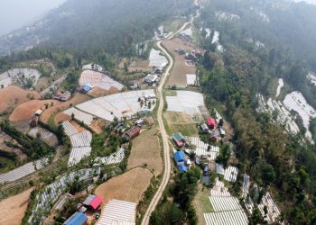 भोजपुर : पौवादुङमाको पाँच सय हेक्टरमा अकबरे खुर्सानी खेती