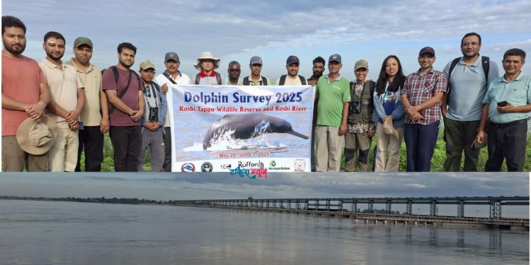 सप्तकोशी नदीमा २२ वटा डल्फिन रेकर्ड