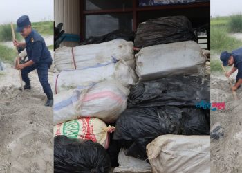 सुनसरीमा खोलाको बगरमा बालुवामुनि लुकाइएको ११ सय किलोग्राम गाँजा बरामद