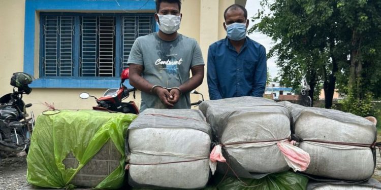 मोरङमा ह्युम पाइपभित्र लुकाइएको तीन सय ४७ किलो गाँजा बरामद, दुई जना पक्राउ
