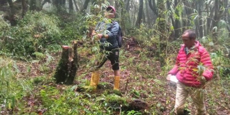 भोजपुर : रेडपान्डा संरक्षणका लागि ४८ वटा क्यामरा जडान