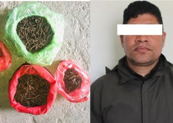 संखुवासभामा डेढ किलो यार्सागुम्बासहित एक पुरुष पक्राउ