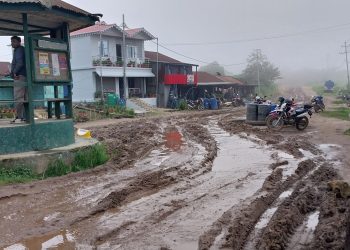 दमक–चिसापनी सडक ३३ वर्षमा पनि पूरा भएन