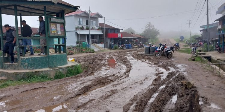 दमक–चिसापनी सडक ३३ वर्षमा पनि पूरा भएन