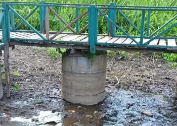 खडेरीले सुक्न थाल्यो मोरङकाे बेतना सिमसार