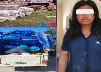 तरकारी बोकेको बोलेरोबाट गाँजा बरामद