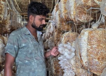 वैदेशिक रोजगारीबाट फर्किएर च्याउ खेती, वार्षिक १५ लाख आम्दानी