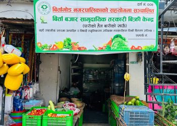 झापामा आत्मनिर्भर बन्दै कृषक, भन्छन् – ‘पारिको होइन, वारिको खाउँ’