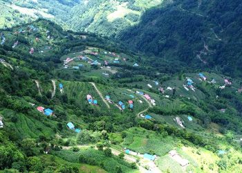 कृषि उत्पादनको उर्वरभूमि भोजपुरको चोलन्ती गाउँ