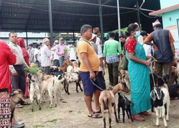 धरानको कृषि बजारबाट दुई अर्ब ४० करोडको खसीबोकाको कारोबार