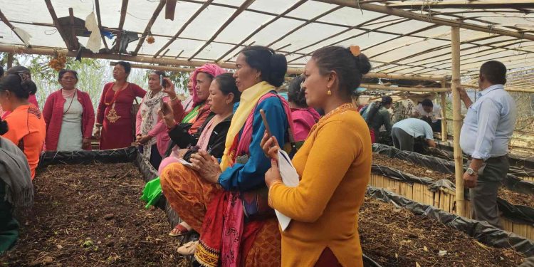 भोजपुरमा जैविक खेती प्रणालीलाई प्रवर्द्धन गर्ने उद्देश्यले गड्यौला मल उत्पादन