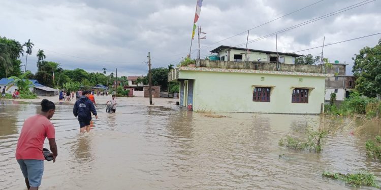 झापामा ४५० घर डुबानमा