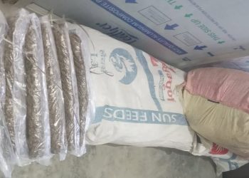 इटहरीमा ९८ किलो गाँजासहित दुई जना पक्राउ