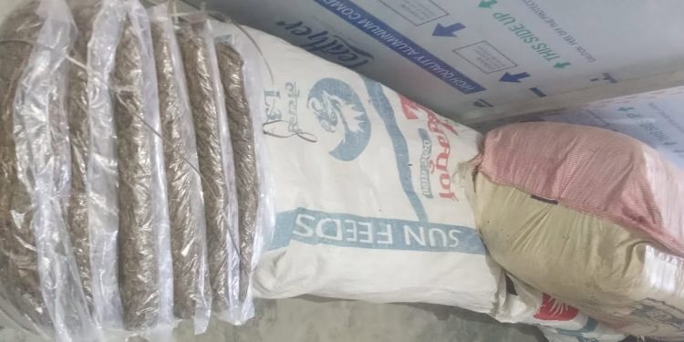 इटहरीमा ९८ किलो गाँजासहित दुई जना पक्राउ