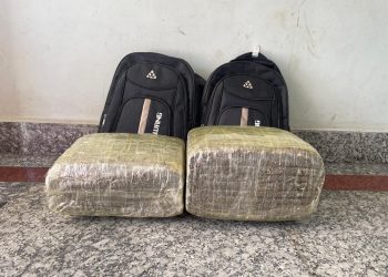 सुनसरीमा गाँजासहित एक युवक पक्राउ