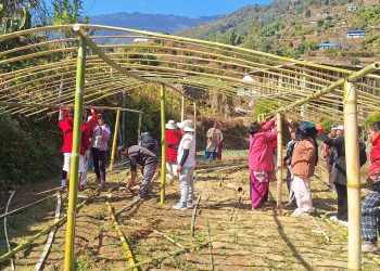 भोजपुरका महिलालाई उद्यमशीलतामा जोड्दै आत्मनिर्भर बनाइने