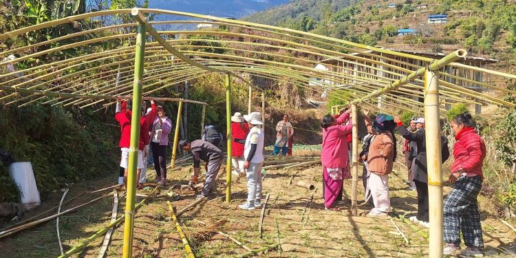 भोजपुरका महिलालाई उद्यमशीलतामा जोड्दै आत्मनिर्भर बनाइने