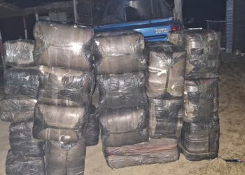 सुनसरीमा बेवारिसे अवस्थामा ५ सय ५४ किलो गाँजा बरामद